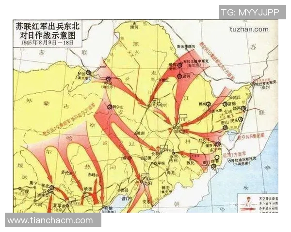 拉素与维迪斯的精彩对决分析及战术探讨