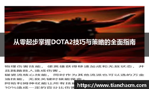 JJB竞技宝