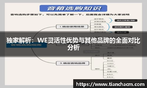 独家解析：WE灵活性优势与其他品牌的全面对比分析