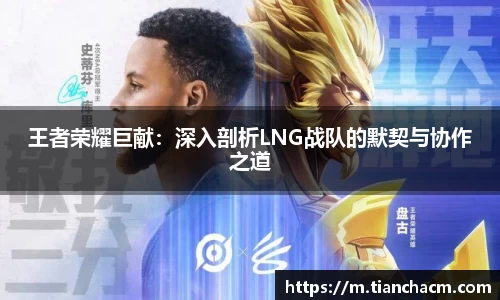王者荣耀巨献：深入剖析LNG战队的默契与协作之道