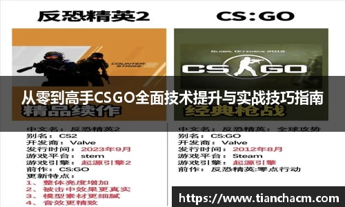 从零到高手CSGO全面技术提升与实战技巧指南