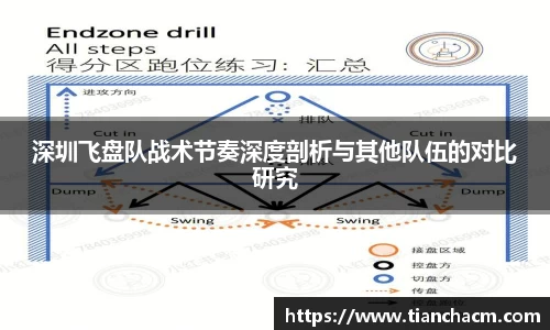 深圳飞盘队战术节奏深度剖析与其他队伍的对比研究
