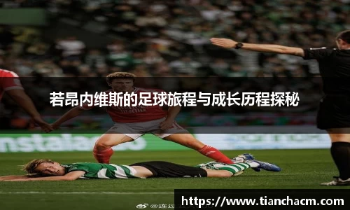 JJB竞技宝
